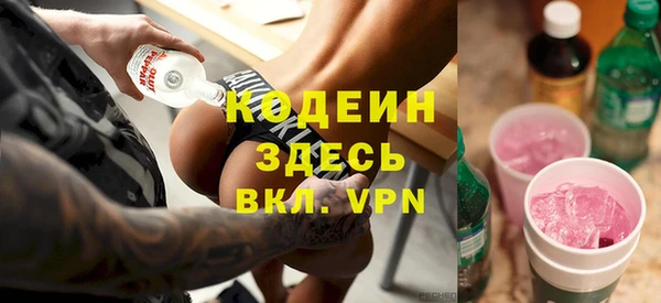 ПСИЛОЦИБИНОВЫЕ ГРИБЫ Инта