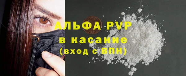ПСИЛОЦИБИНОВЫЕ ГРИБЫ Инта