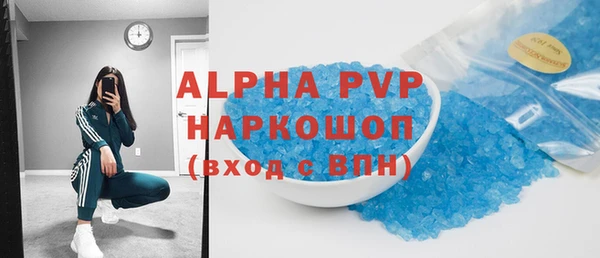 ПСИЛОЦИБИНОВЫЕ ГРИБЫ Инта