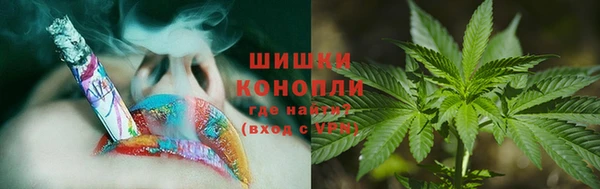 ПСИЛОЦИБИНОВЫЕ ГРИБЫ Инта