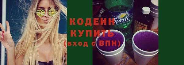ПСИЛОЦИБИНОВЫЕ ГРИБЫ Инта