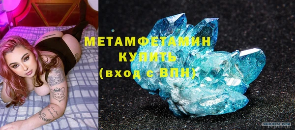 ПСИЛОЦИБИНОВЫЕ ГРИБЫ Инта