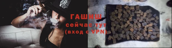 ПСИЛОЦИБИНОВЫЕ ГРИБЫ Инта