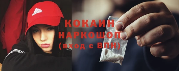 крисы Инсар