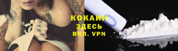 ПСИЛОЦИБИНОВЫЕ ГРИБЫ Инта