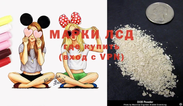крисы Инсар