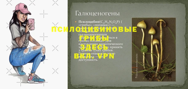 ПСИЛОЦИБИНОВЫЕ ГРИБЫ Инта
