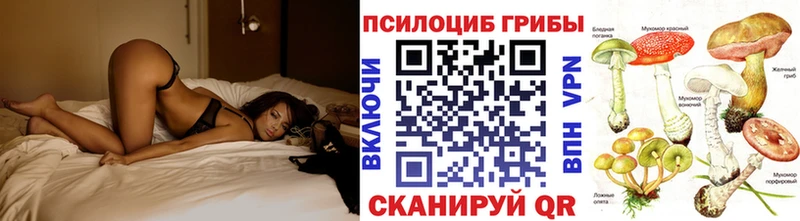 Купить закладки  Данилов  Галлюциногенные грибы GOLDEN TEACHER 