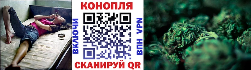 Купить  Данилов  Канабис Ganja 